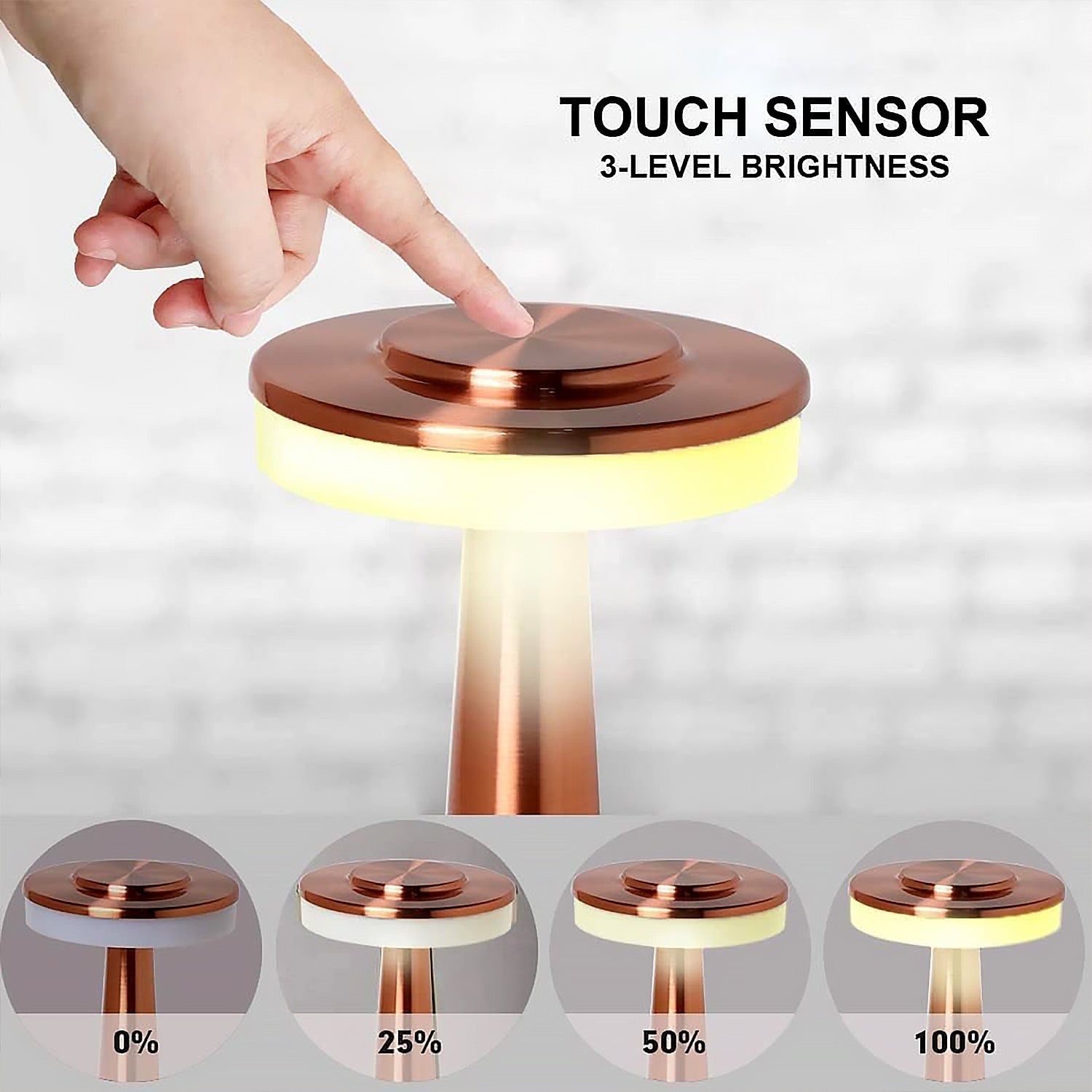 Touch LED Metal Desk Lamp – USB Rechargeable, 3 Colors/Brightness Levels, Dimmable Eye Protection (1 Pc)